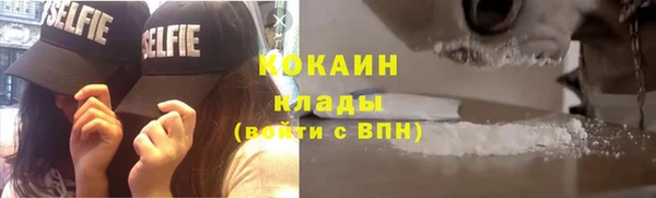 соль ск Алзамай