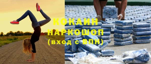 дмт Алексин