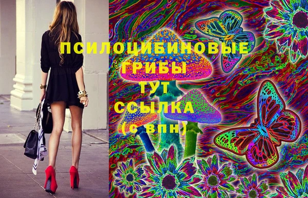 дмт Алексин